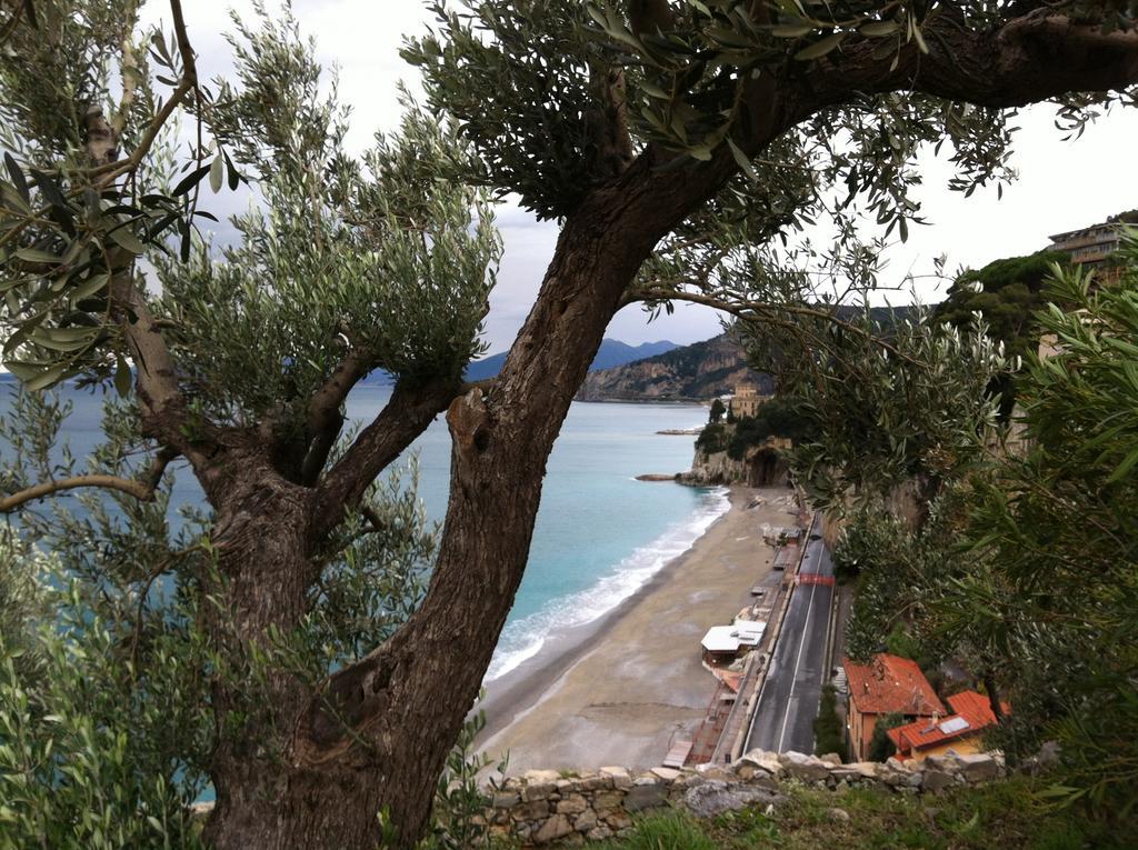Agriturismo La Rocca Di Perti Finale Ligure Kültér fotó