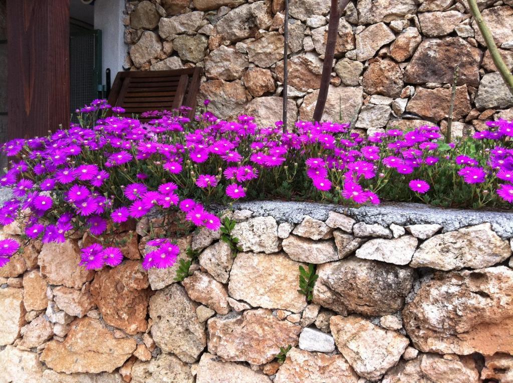 Agriturismo La Rocca Di Perti Finale Ligure Kültér fotó