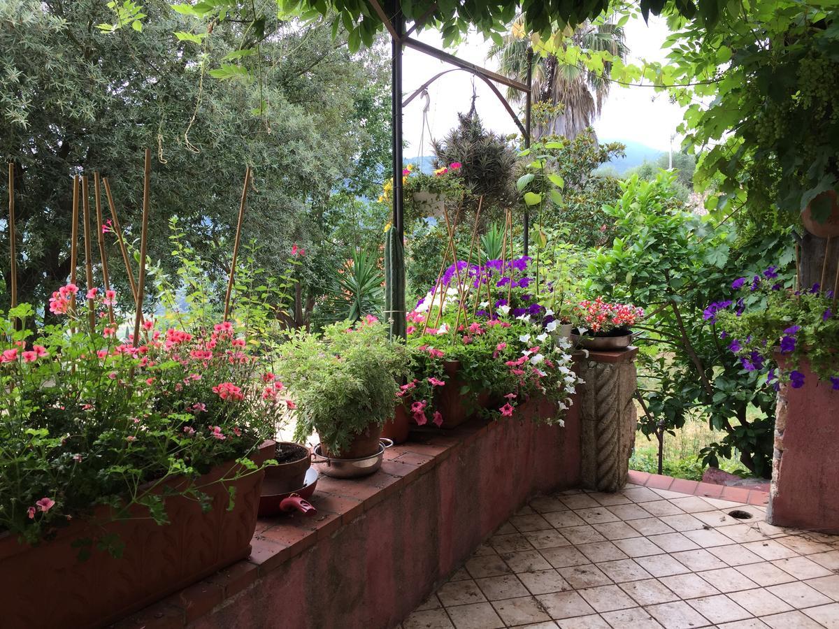 Agriturismo La Rocca Di Perti Finale Ligure Kültér fotó
